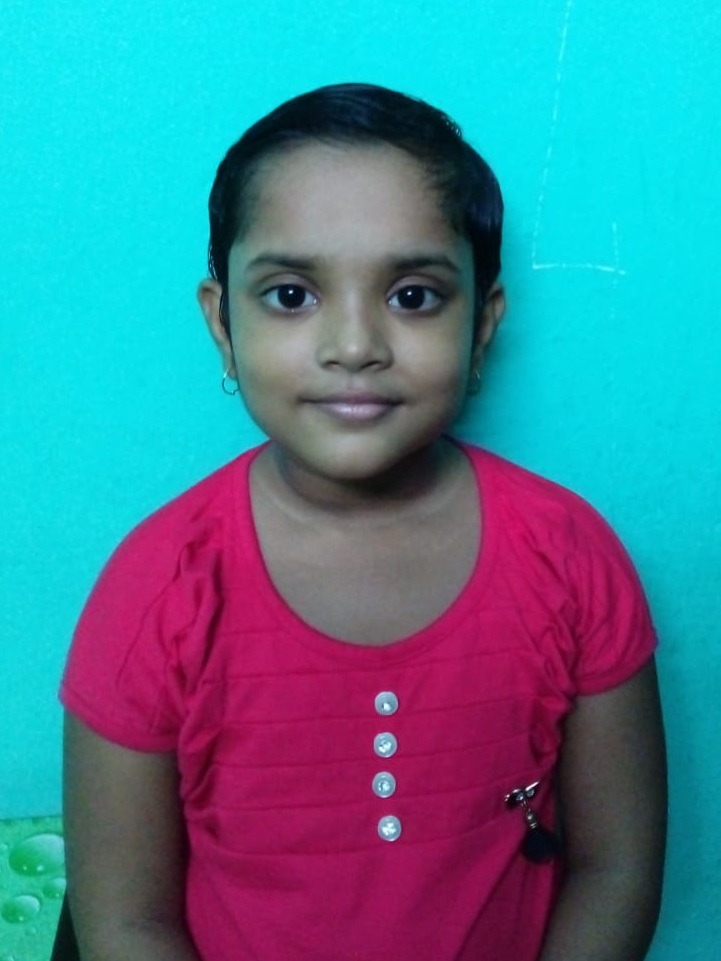 পাখি